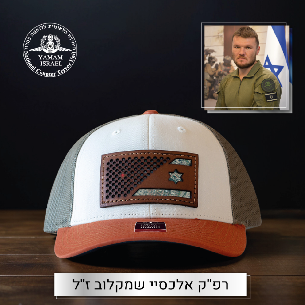 המתאגרף | The Boxer